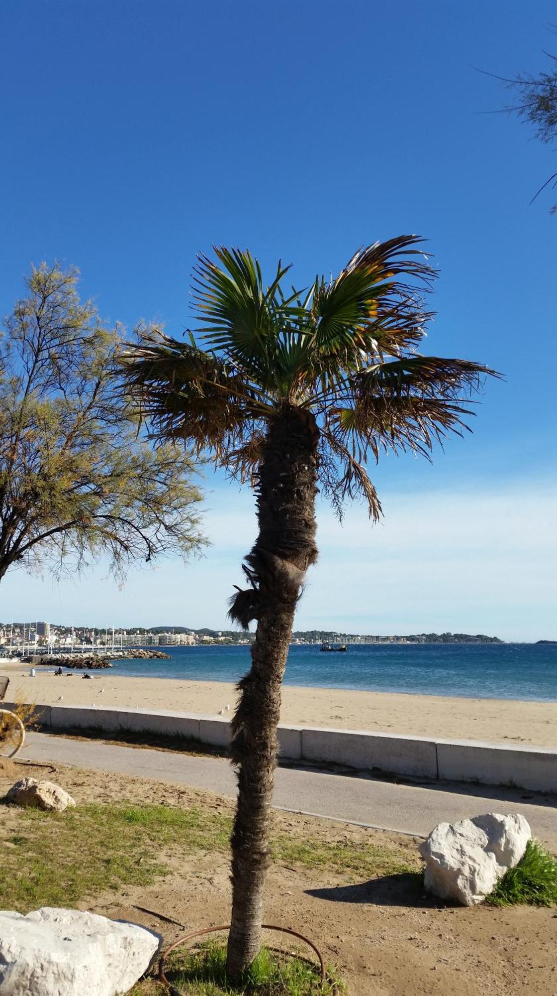 Sublime Vue Mer,Parking,Wifi Fréjus Buitenkant foto