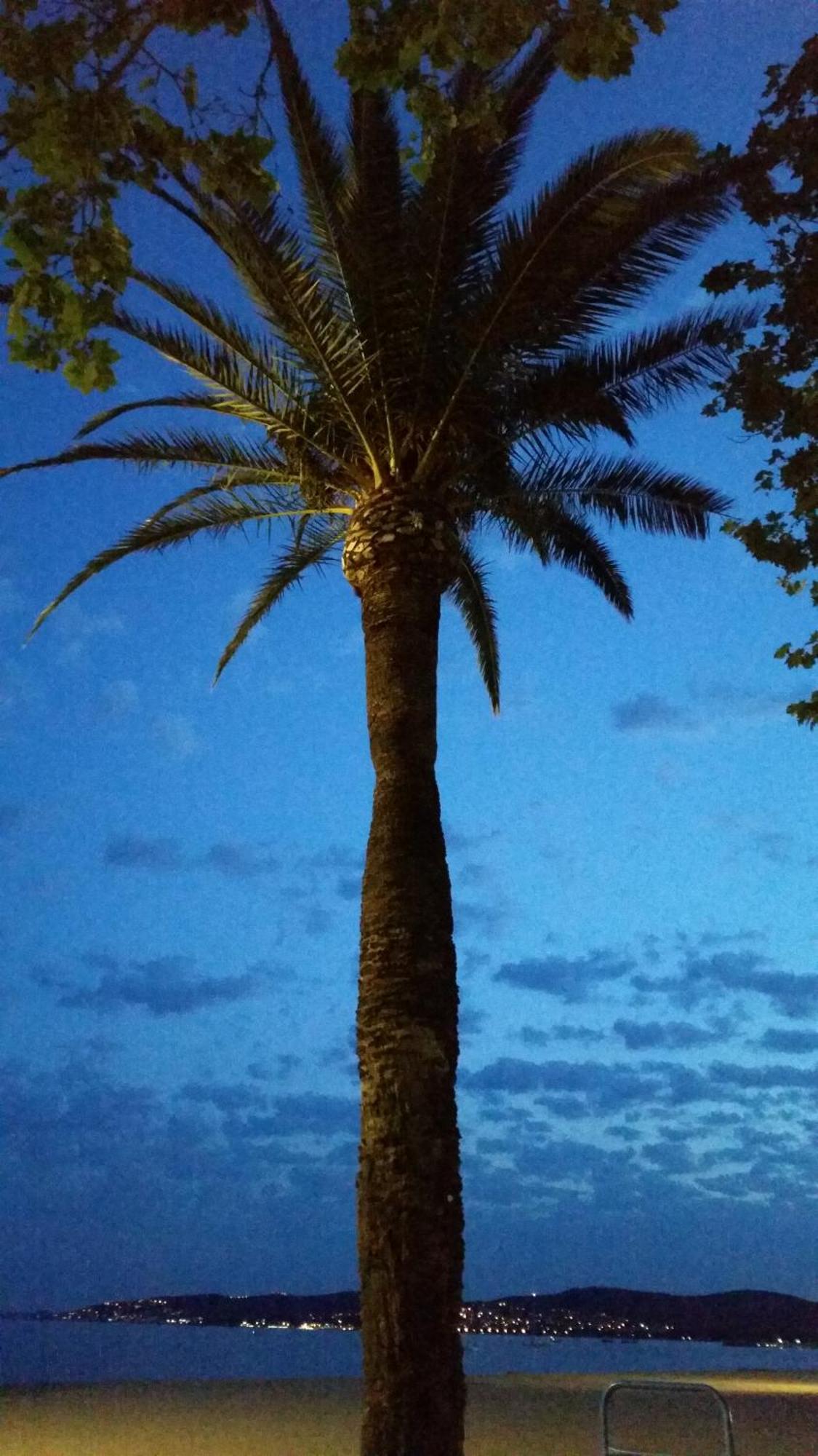 Sublime Vue Mer,Parking,Wifi Fréjus Buitenkant foto